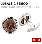 Jurassic Perido. See Dinosaur Bone Jewelry Collection