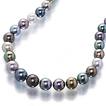 Tahitian black pearl single strand choker