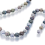 Tahitian black pearl single strand choker