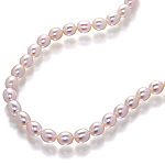 Fresh water pearl necklace