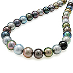 Tahitian black pearl single strand choker