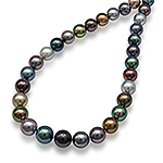 Tahitian black pearl single strand choker