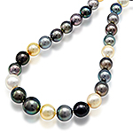 Tahitian multicolour pearl single strand choker